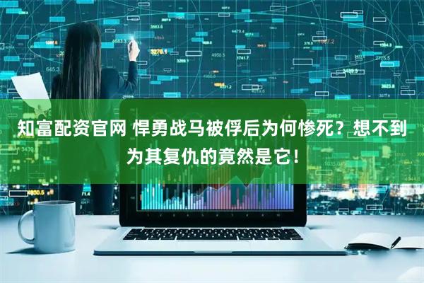 知富配资官网 悍勇战马被俘后为何惨死？想不到为其复仇的竟然是它！