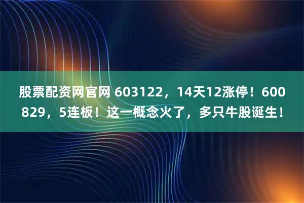股票配资网官网 603122，14天12涨停！600829，5连板！这一概念火了，多只牛股诞生！