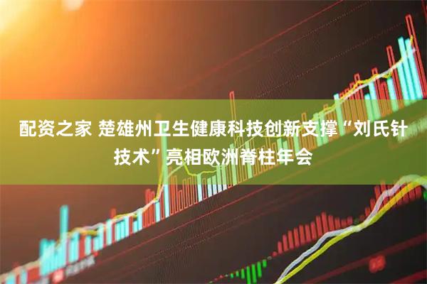 配资之家 楚雄州卫生健康科技创新支撑“刘氏针技术”亮相欧洲脊柱年会