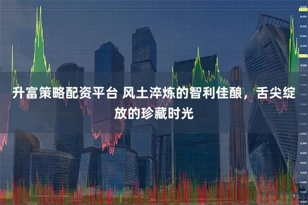 升富策略配资平台 风土淬炼的智利佳酿，舌尖绽放的珍藏时光
