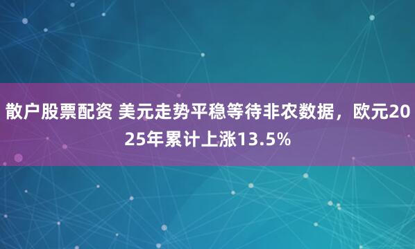 散户股票配资 美元走势平稳等待非农数据，欧元2025年累计上涨13.5%