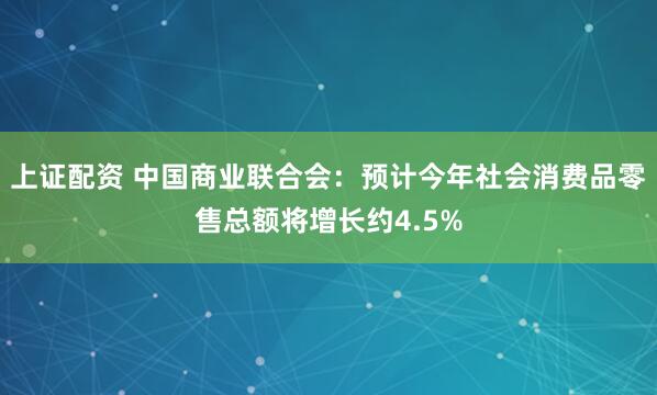上证配资 中国商业联合会：预计今年社会消费品零售总额将增长约4.5%