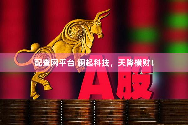 配查网平台 澜起科技,天降横财!